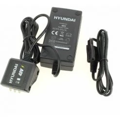 Chargeur De Batterie 40v 1,8ah Pour Debroussailleuse Hyundai
